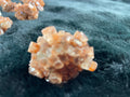 Aragonite Stones Connect You To The Earth